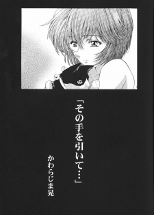 (C64) [Henreikai (Various)] Ayanami Club Ichi (Neon Genesis Evangelion) - page 27