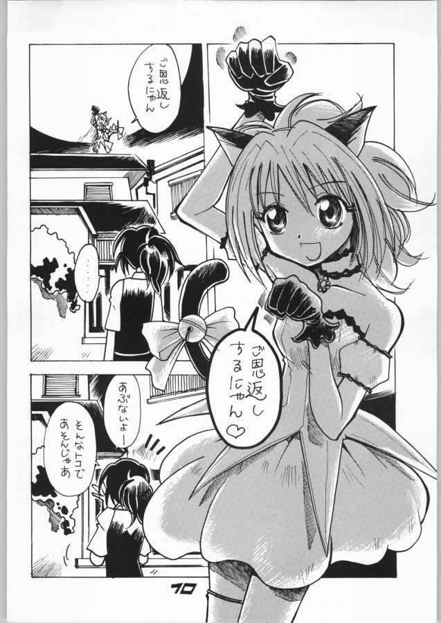 (C63) [Aa! Aikawa Dojo (Kenji)] Goongaeshi Suru Nyan (Tokyo Mew Mew) page 10 full