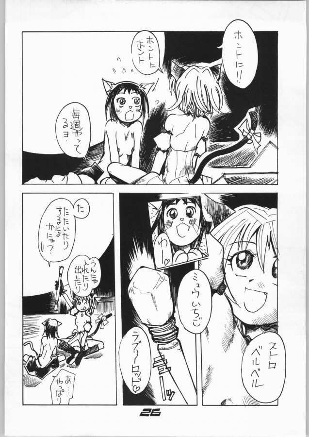 (C63) [Aa! Aikawa Dojo (Kenji)] Goongaeshi Suru Nyan (Tokyo Mew Mew) page 26 full