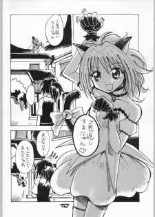 (C63) [Aa! Aikawa Dojo (Kenji)] Goongaeshi Suru Nyan (Tokyo Mew Mew) - page 10