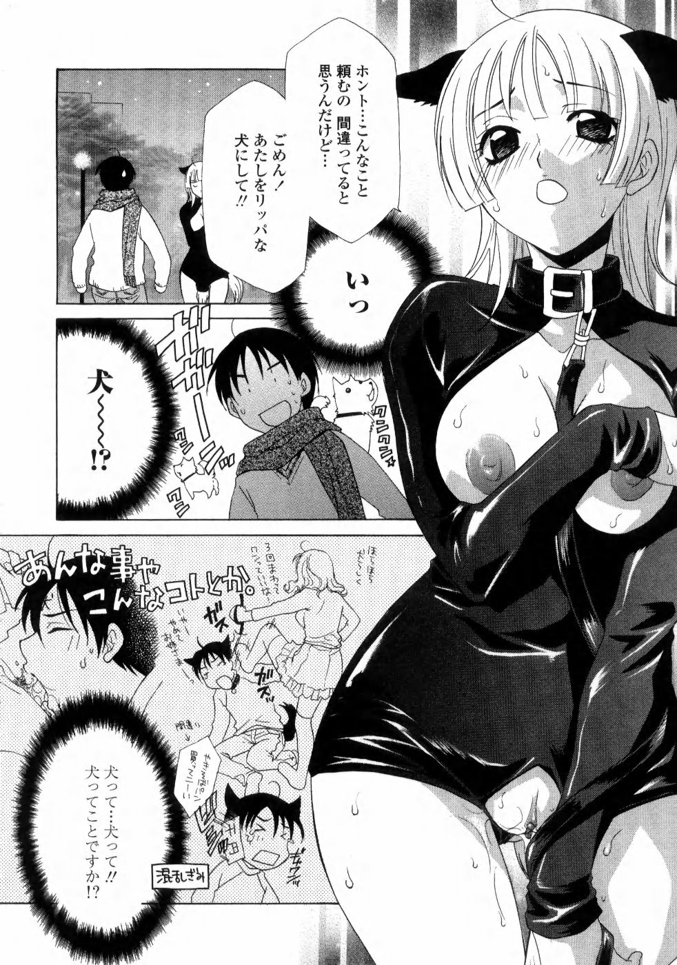 [Inari Kinzou] Ane Inu - Sister's Dog page 44 full