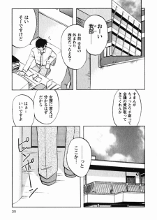 [Maeda Sengoku] Mrs. Link - page 29