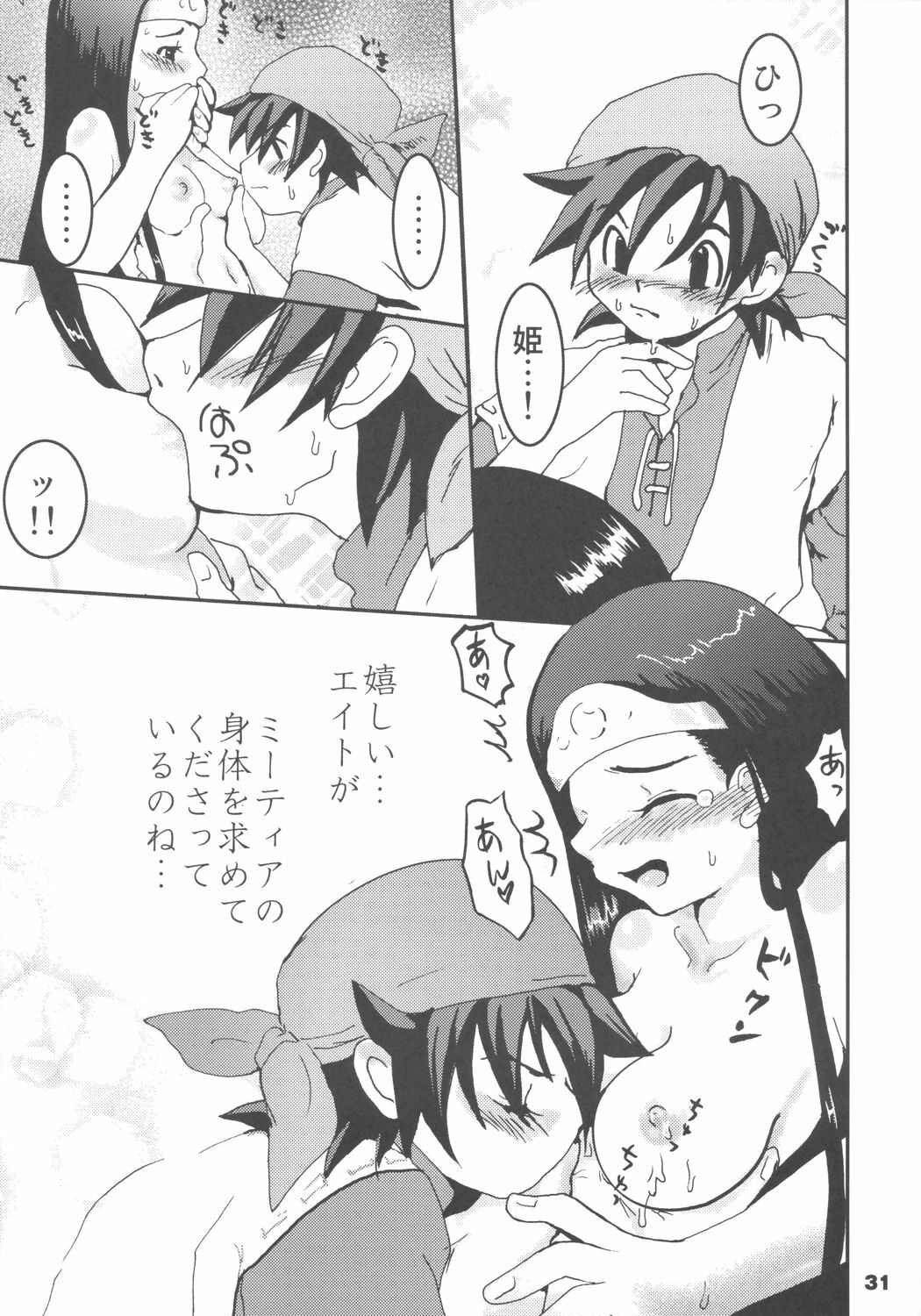 (SC27) [URAN-FACTORY (URAN)] Himegimi ni Shukufuku wo (Dragon Quest VIII) page 30 full