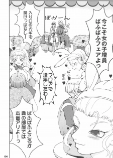 (SC27) [URAN-FACTORY (URAN)] Himegimi ni Shukufuku wo (Dragon Quest VIII) - page 3