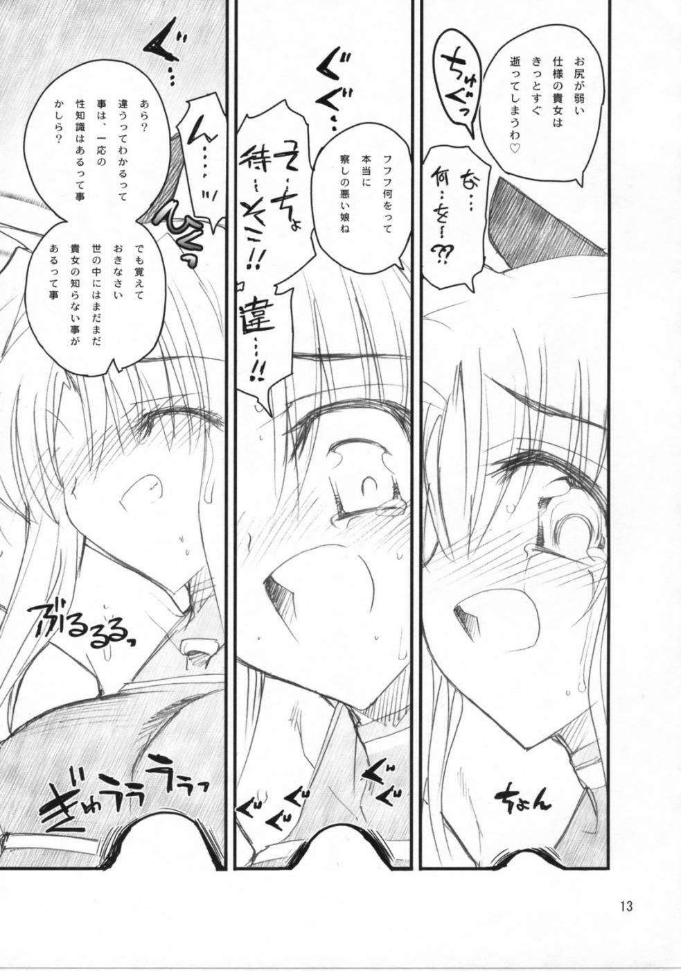 (C73) [Akai Marlboro (Aka Marl)] Fate-san Mae kara Ushiro kara (Mahou Shoujo Lyrical Nanoha) page 12 full