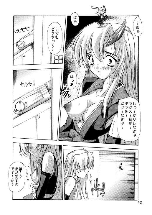 (C71) [Studio Q (Natsuka Q-Ya)] Lacus Destiny ~ Soushuuhen 3 (Gundam Seed Destiny) page 39 full