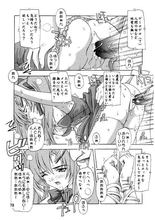 (C71) [Studio Q (Natsuka Q-Ya)] Lacus Destiny ~ Soushuuhen 3 (Gundam Seed Destiny) page 76 full