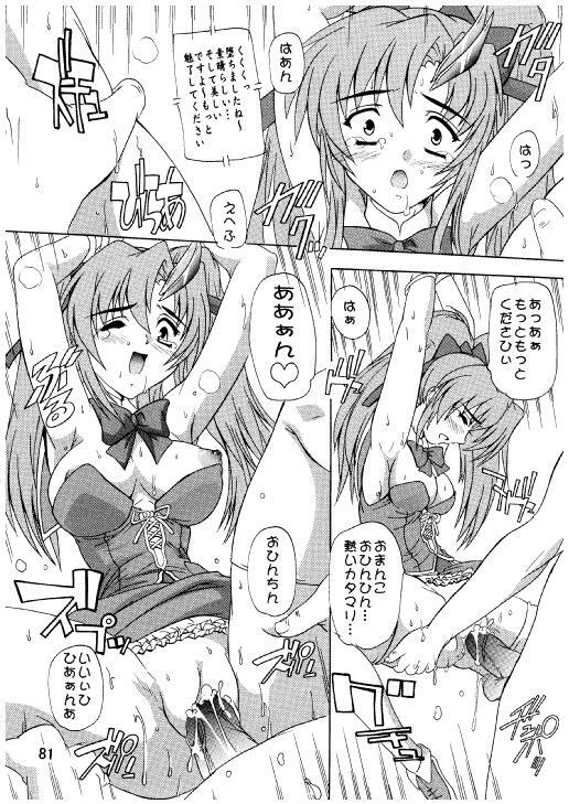 (C71) [Studio Q (Natsuka Q-Ya)] Lacus Destiny ~ Soushuuhen 3 (Gundam Seed Destiny) page 78 full