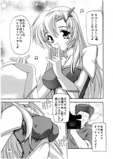 (C70) [Studio Q (Natsuka Q-Ya)] Lacus Destiny - Soushuuhen 2 (Gundam Seed Destiny) - page 26