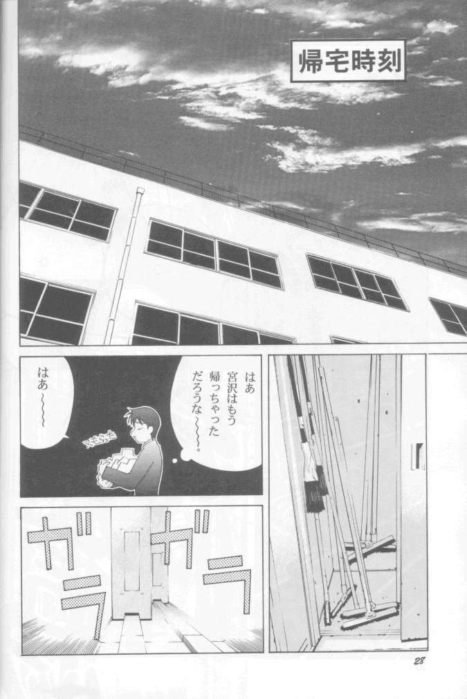 (C55) [GOLD RUSH (Suzuki Address)] Jun'ai Daiginjou (Kare Kano) page 27 full