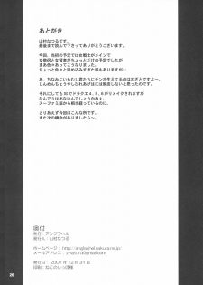 (C73) [Anglachel (Yamamura Natsuru)] MP=∞ (Dragon Quest III) - page 25