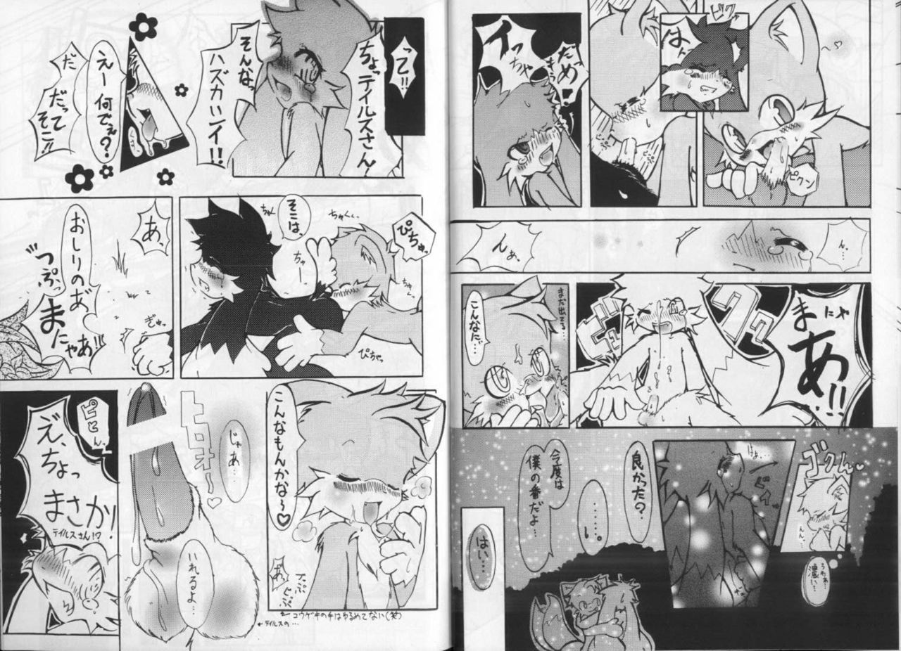 Klonoa & Tails (Furry) (Yaoi) page 5 full