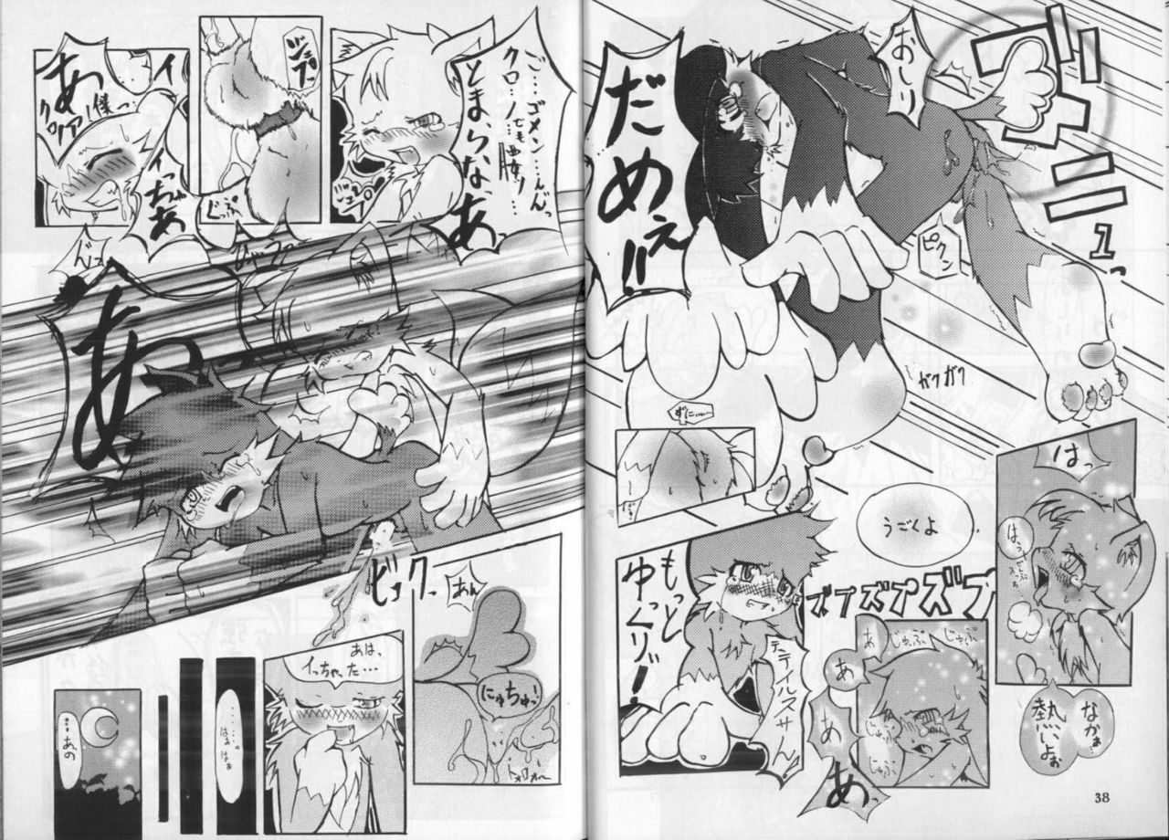 Klonoa & Tails (Furry) (Yaoi) page 6 full