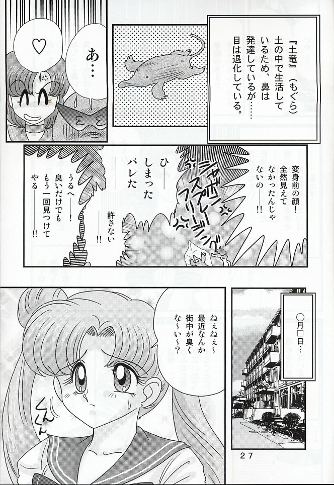 (C66) [Kantou Usagi Gumi (Kamitou Masaki)] Mizuno Ami Nikki Z (Bishoujo Senshi Sailor Moon) page 27 full