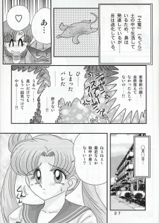 (C66) [Kantou Usagi Gumi (Kamitou Masaki)] Mizuno Ami Nikki Z (Bishoujo Senshi Sailor Moon) - page 27