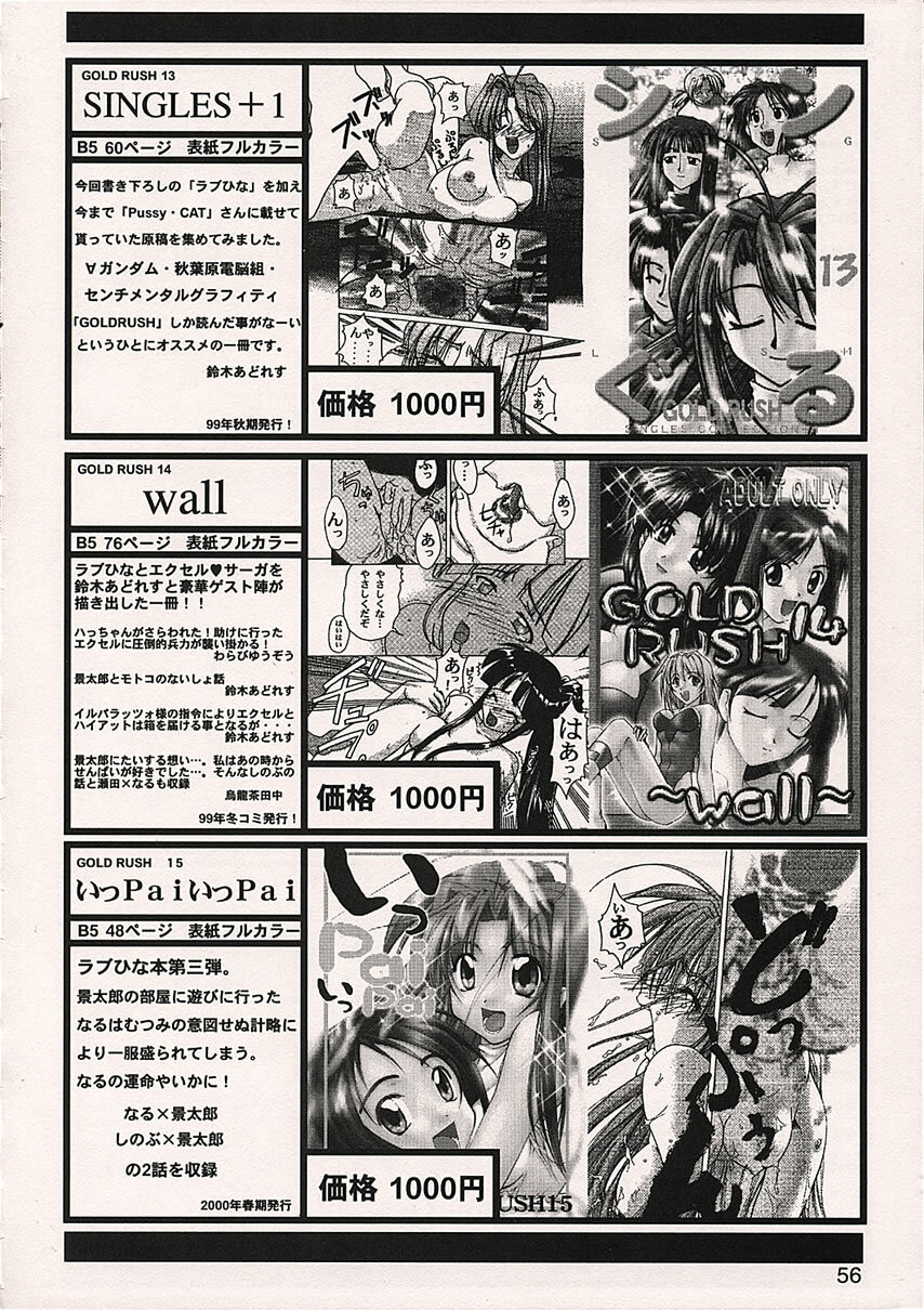 (C59) [GOLD RUSH (Suzuki Address)] AIRILY (Air) page 55 full