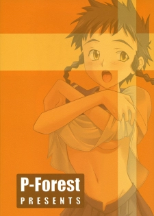 (C68) [P-Forest (Hozumi Takashi)] Mikoto-chan to Iroiro... (My-HiME) - page 26
