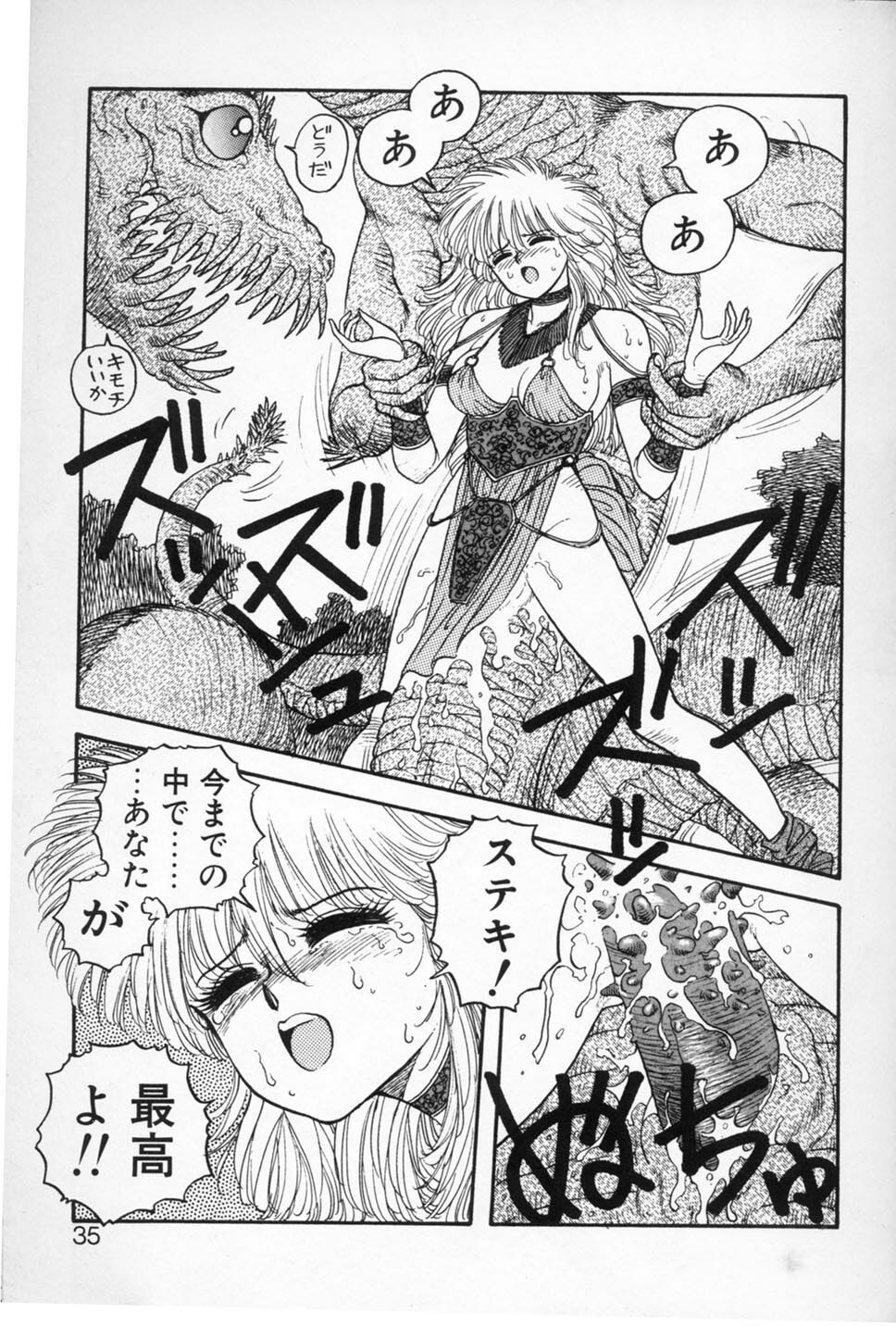 [Yui Toshiki] Princess Quest Saga page 35 full