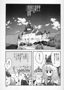 [Yui Toshiki] Princess Quest Saga - page 25