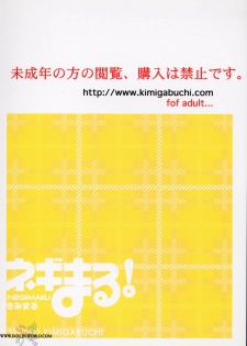 (CR37) [Studio Kimigabuchi (Kimimaru)] Negimaru! 3 (Mahou Sensei Negima!) [English] [SaHa] - page 38