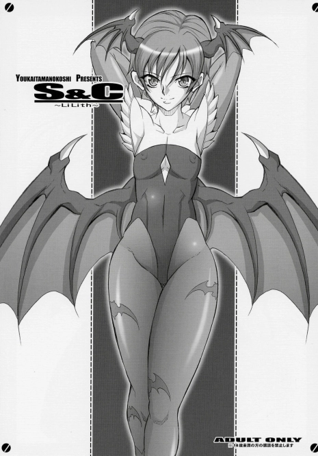 (SC31) [Youkai Tamanokoshi (CHIRO)] S&C -LiLith- (Darkstalkers, Street Fighter)