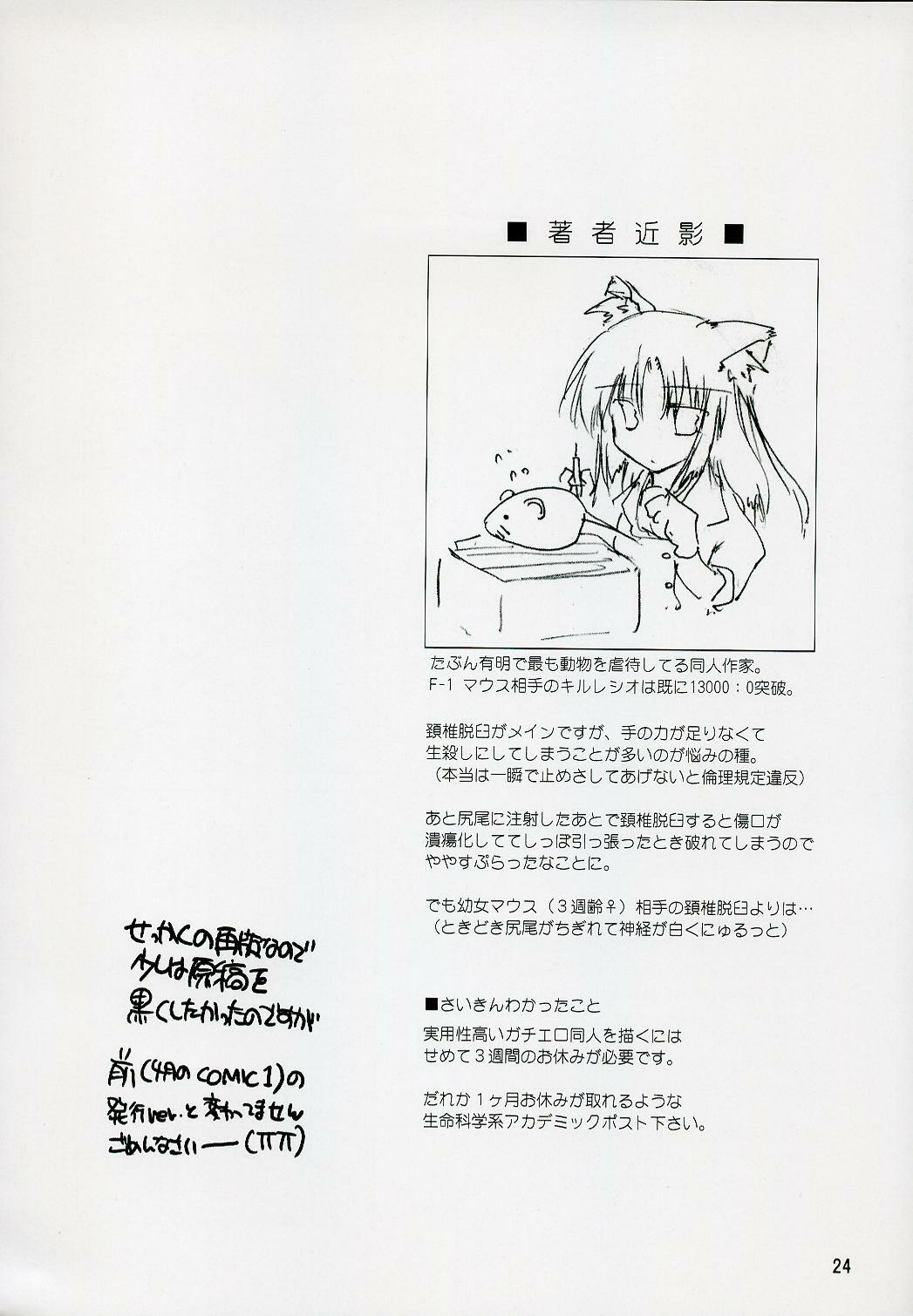 (C72) [Aruku Denpatou no Kai (Kimura Shuuichi)] Fate/ero (Mahou Shoujo Lyrical Nanoha) page 23 full