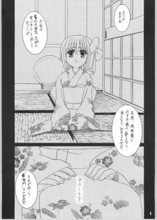 [IIWAKE-GAISYA (Shigemiya Kyouhei)] Kasumi (Dead or Alive) - page 4