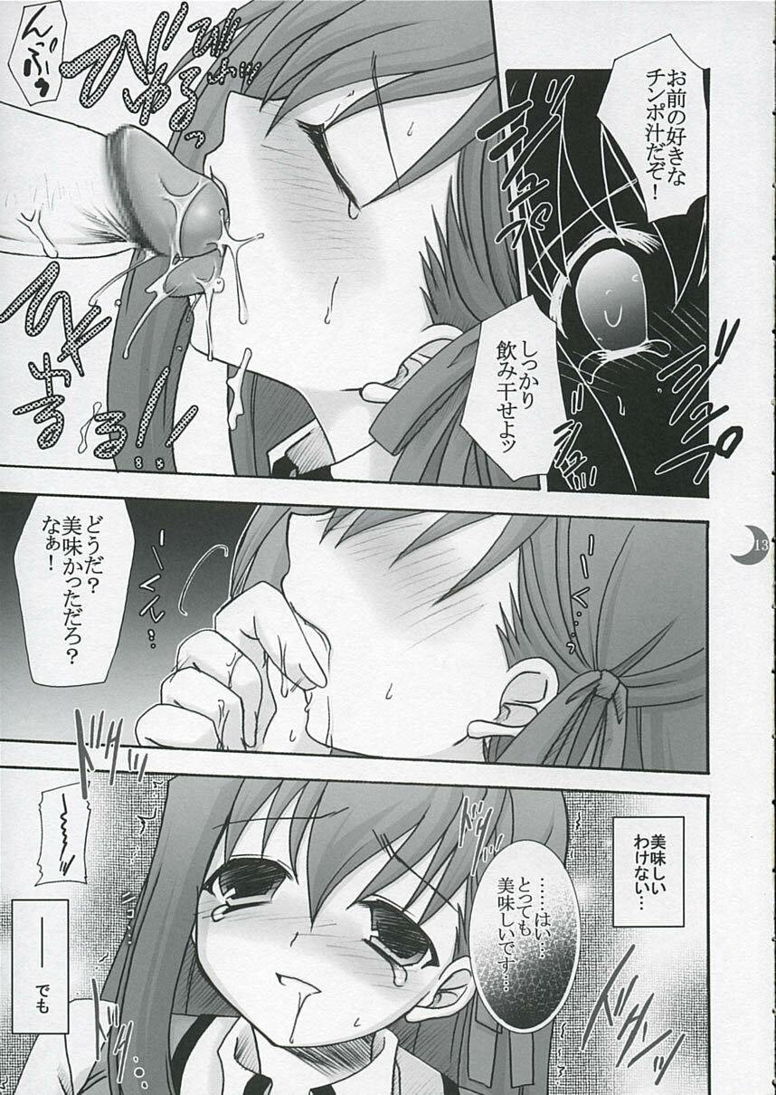 (C66) [IIWAKE-GAISYA (Shigemiya Kyouhei)] Hatsujou Toiki (Fate stay night) page 12 full