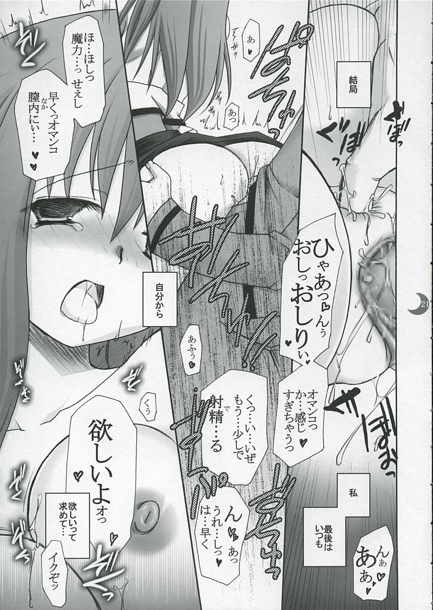 (C66) [IIWAKE-GAISYA (Shigemiya Kyouhei)] Hatsujou Toiki (Fate stay night) page 20 full