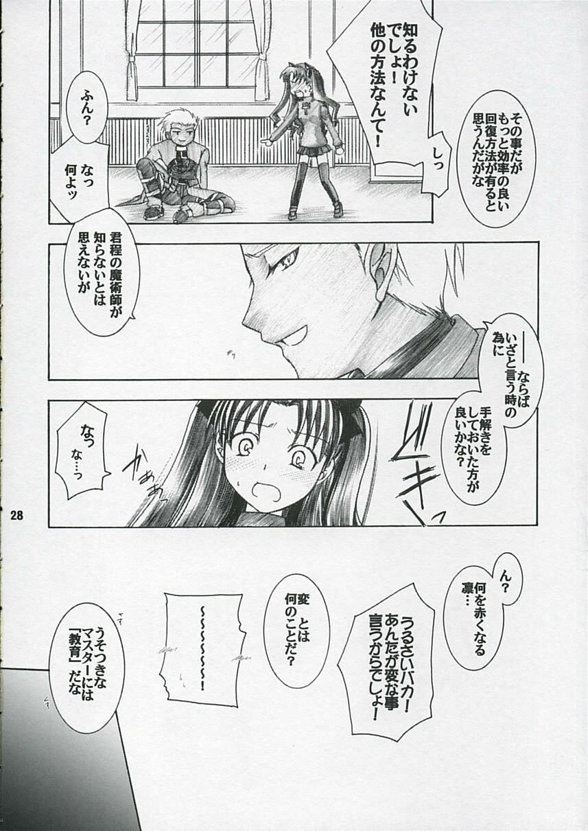 (C66) [IIWAKE-GAISYA (Shigemiya Kyouhei)] Hatsujou Toiki (Fate stay night) page 27 full