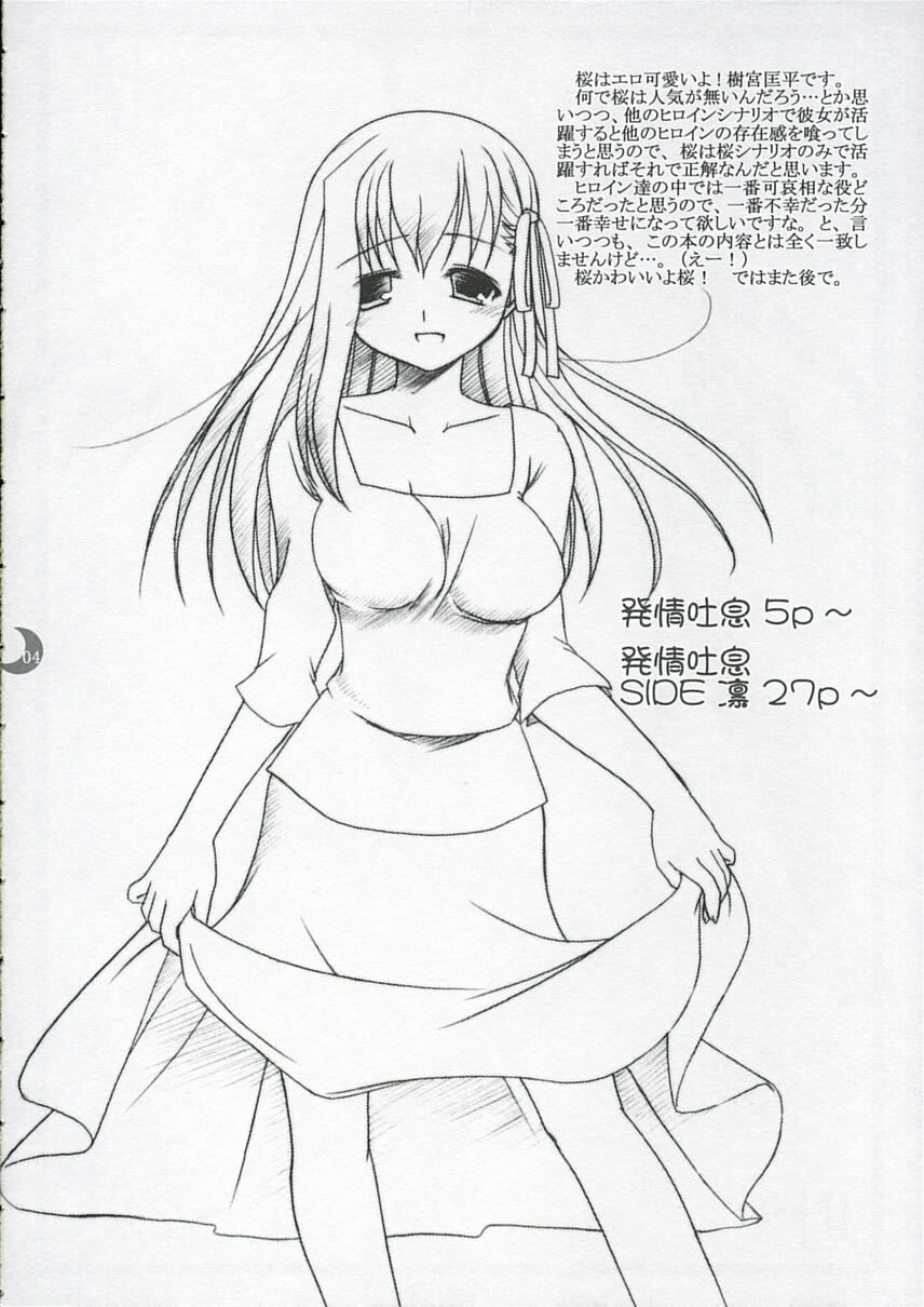 (C66) [IIWAKE-GAISYA (Shigemiya Kyouhei)] Hatsujou Toiki (Fate stay night) page 3 full
