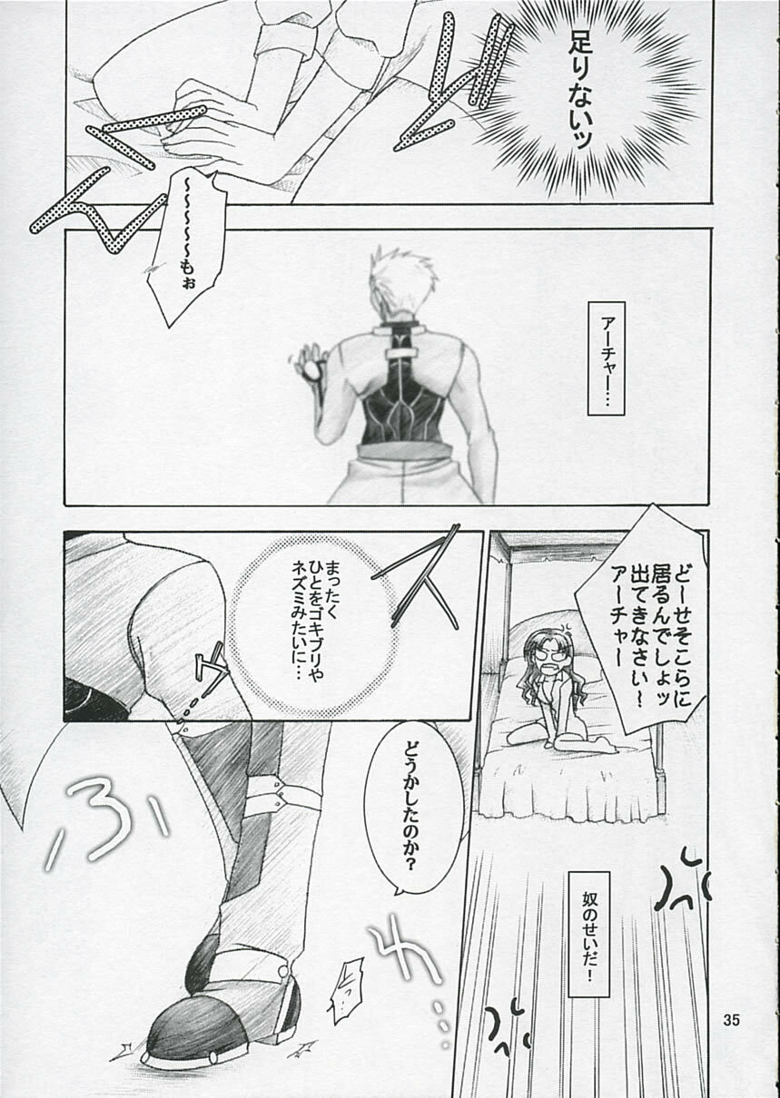 (C66) [IIWAKE-GAISYA (Shigemiya Kyouhei)] Hatsujou Toiki (Fate stay night) page 34 full