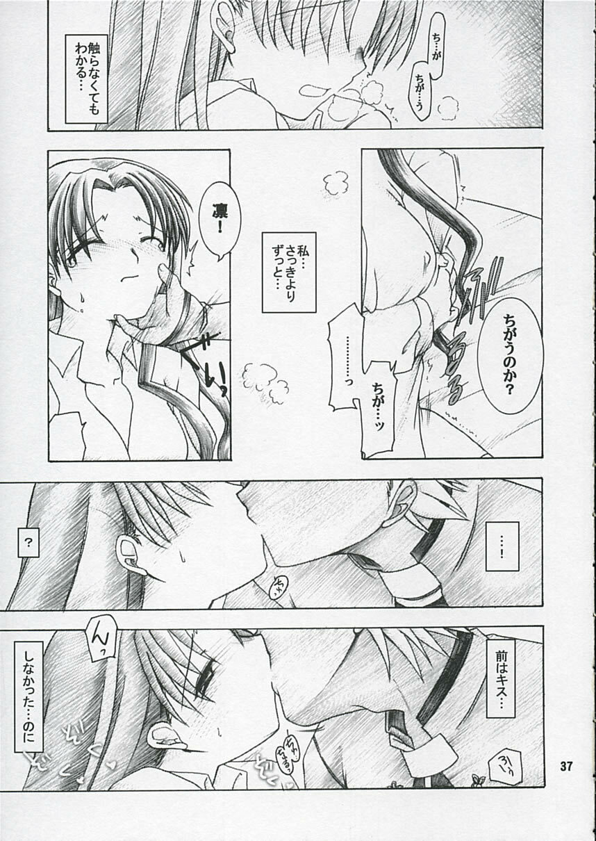 (C66) [IIWAKE-GAISYA (Shigemiya Kyouhei)] Hatsujou Toiki (Fate stay night) page 36 full