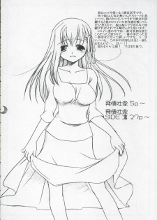 (C66) [IIWAKE-GAISYA (Shigemiya Kyouhei)] Hatsujou Toiki (Fate stay night) - page 3