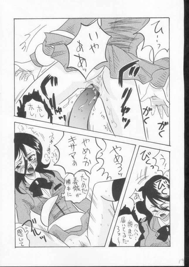 (C61) [Ginmomodou (Mita Satomi)] Yogosareta Gigai (Bleach) page 17 full