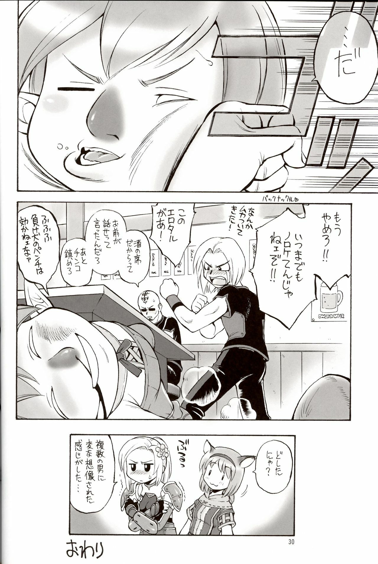 (C70) [Jack-O'-lantern (EBIFLY, Neriwasabi)] Hige to Voin (Final Fantasy XI) page 29 full