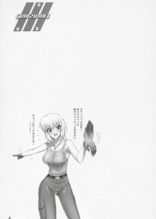 (C69) [Digital Accel Works (INAZUMA.)] Inazuma Warrior 2 (Various) - page 5