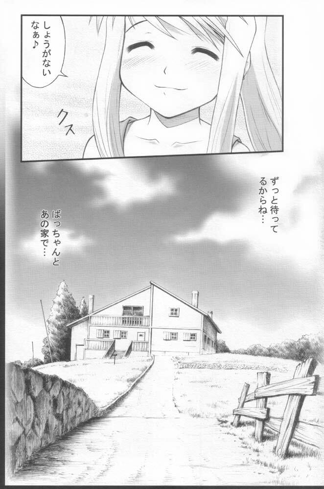 (C68) [PURIMOMO (Goyac)] Kaizoushitai Otoshigoro (Fullmetal Alchemist) page 25 full