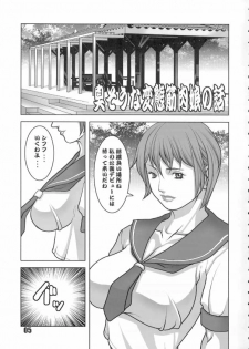 (C68) [DOUBLE-H (Honjou Hideaki)] Nikushuu Musume (Street Fighter) - page 4