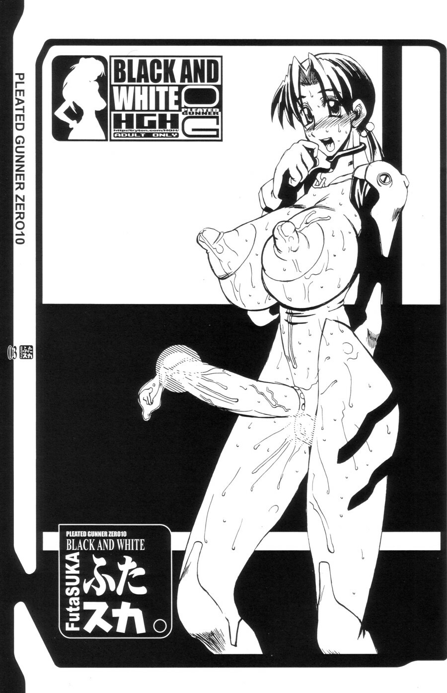 (C64) [HGH (HG Chagawa)] PLEATED GUNNER #10 BLACK AND WHITE Futasuka (Neon Genesis Evangelion) page 2 full