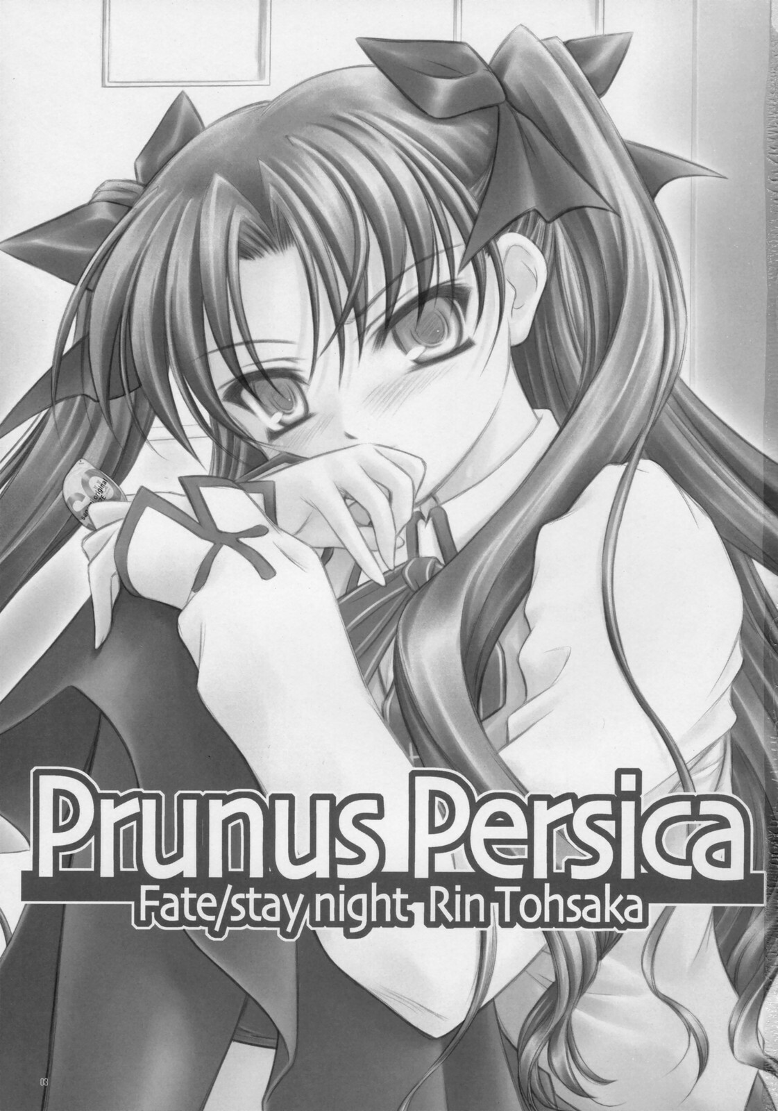 (C73) [Yakan Honpo & Yakan Hikou (Inoue Tommy)] Prunus Persica (Fate/stay night) page 2 full