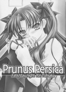 (C73) [Yakan Honpo & Yakan Hikou (Inoue Tommy)] Prunus Persica (Fate/stay night) - page 2