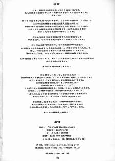 (C73) [Nagaredamaya (BANG-YOU, St.germain-sal)] Riza no Fukikin ga Waruin da! (Kaibutsu Oujo) - page 25