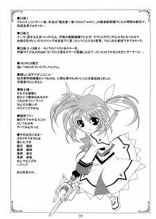 (C71) [PLUM (Kanna)] Magical SEED (Mahou Shoujo Lyrical Nanoha) - page 28