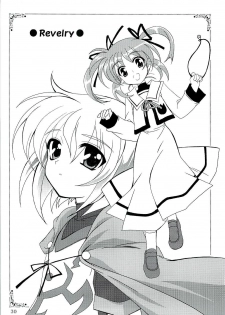 (C71) [PLUM (Kanna)] Magical SEED (Mahou Shoujo Lyrical Nanoha) - page 29