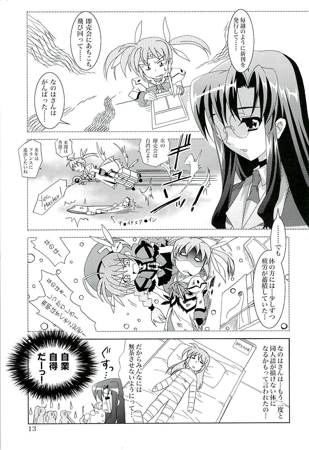 (SC37) [PLUM (Kanna)] Magical SEED FREEDOM (Mahou Shoujo Lyrical Nanoha) page 14 full