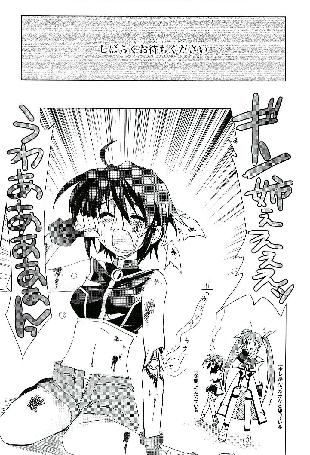 (SC37) [PLUM (Kanna)] Magical SEED FREEDOM (Mahou Shoujo Lyrical Nanoha) page 29 full