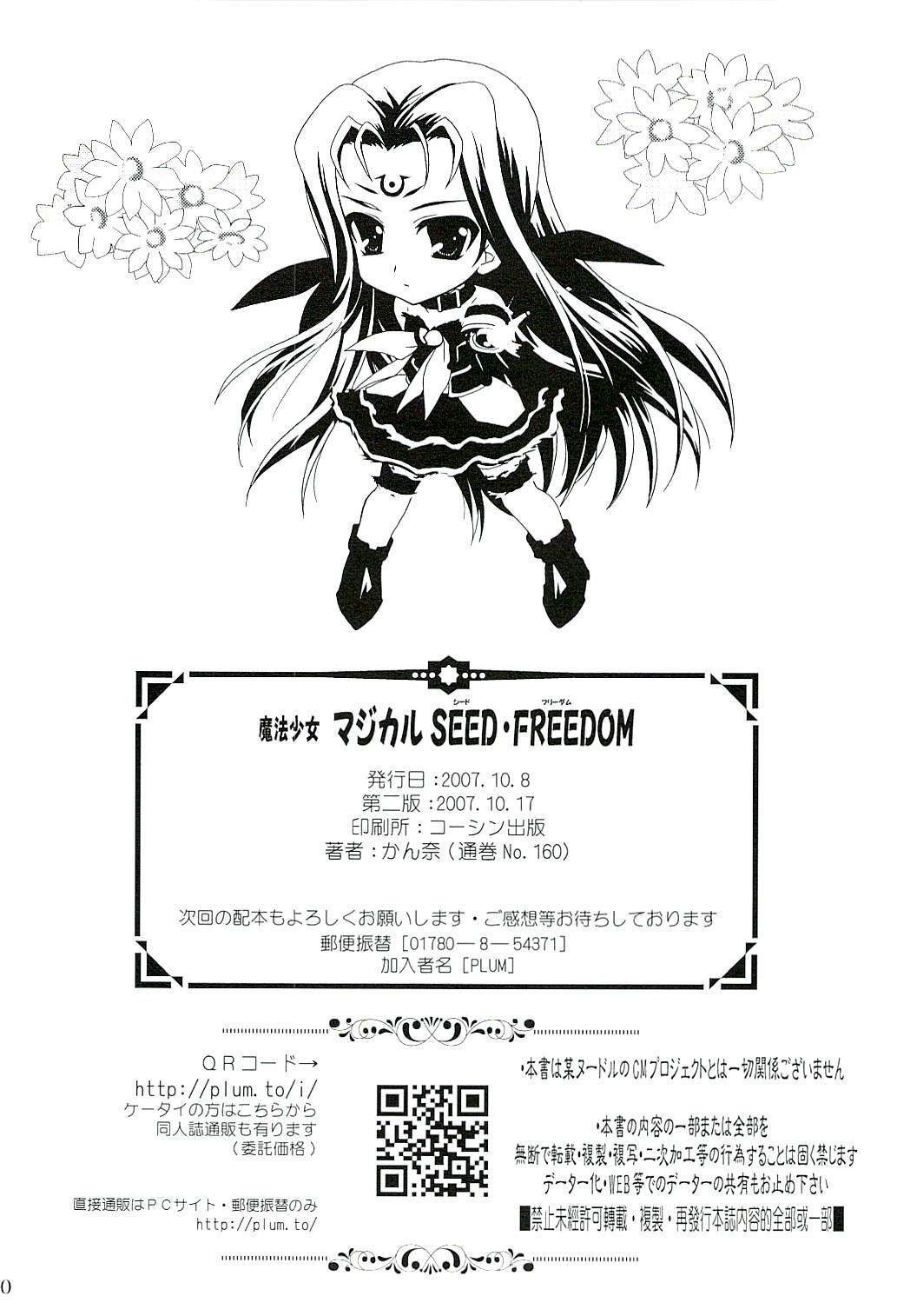 (SC37) [PLUM (Kanna)] Magical SEED FREEDOM (Mahou Shoujo Lyrical Nanoha) page 31 full