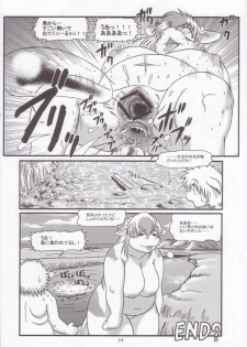 (C65) [TEAM SHUFFLE (Various)] Kemono no Sho Juu - Book of The Beast 10 - page 11