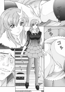[SHIMEKIRI SANPUNMAE (Tsukumi Daifuku)] Ryoujoku MEER | Assault Meer (Mobile Suit Gundam SEED DESTINY) [English] [Saha] - page 4